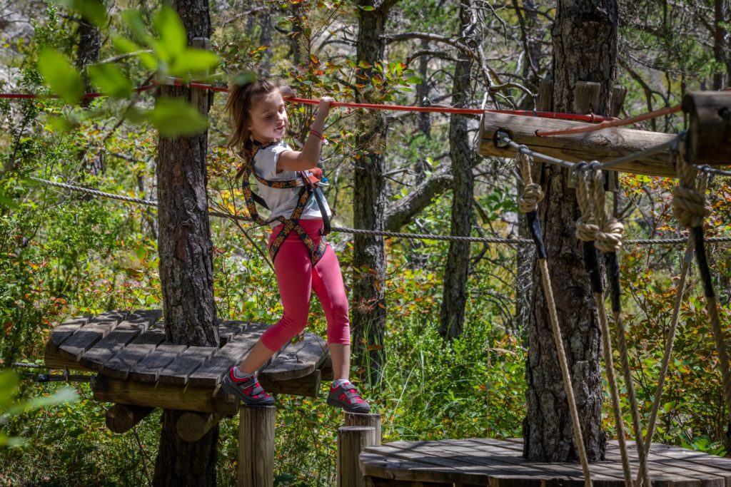 Parcours dans les arbres enfant