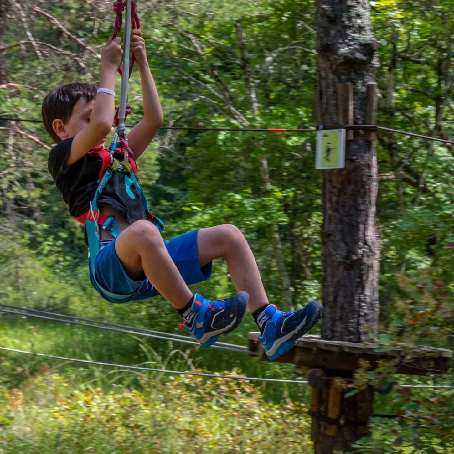 Accrobranche Verdon Parcours aventure enfant