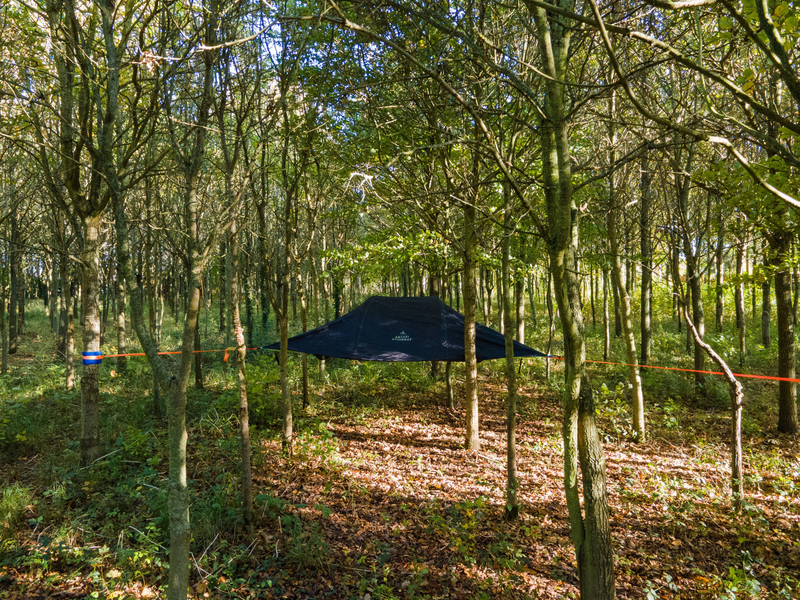 Nuit Tente suspendue dans la forêt