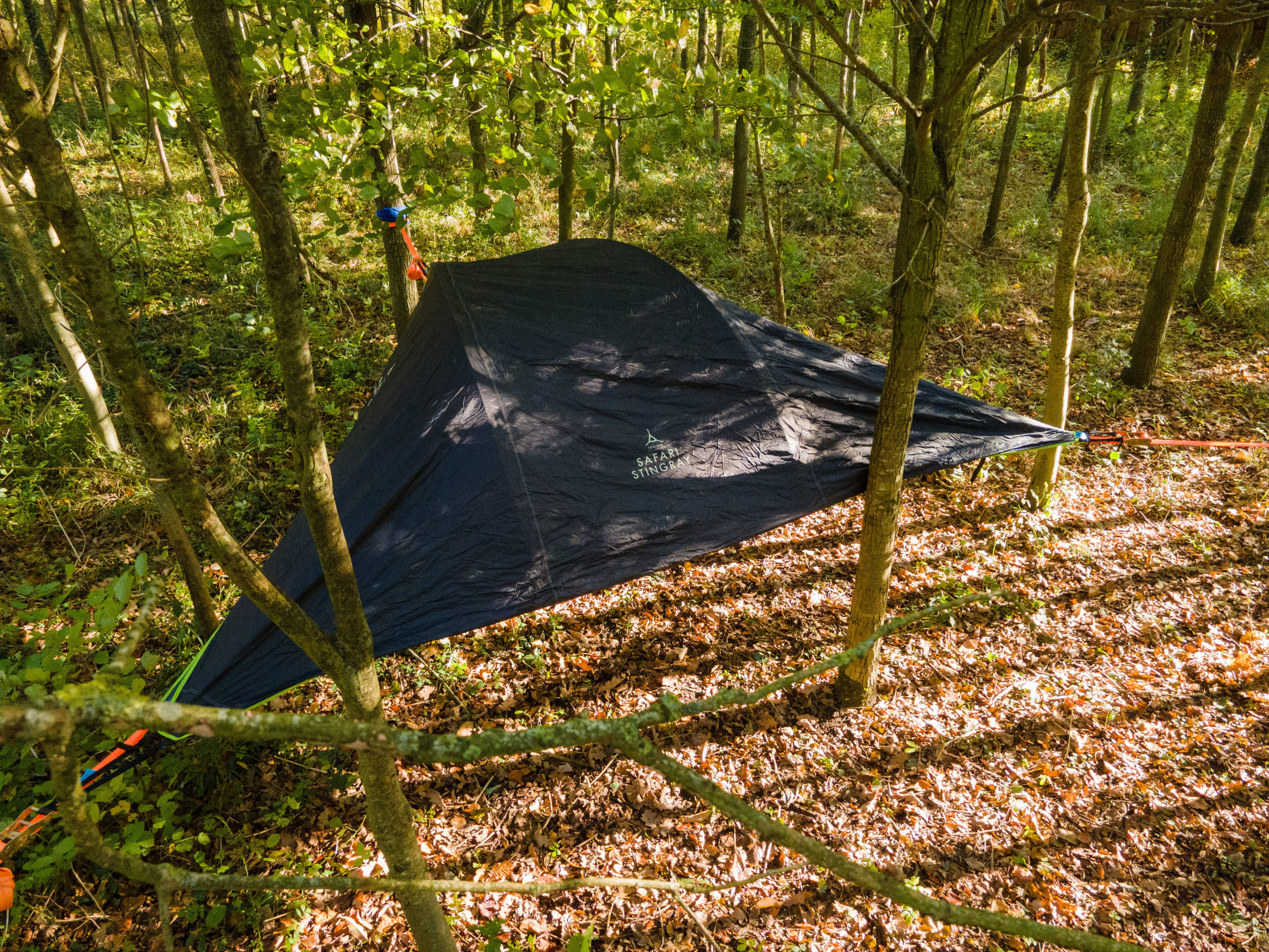 Nuit insolite Tente suspendue forêt