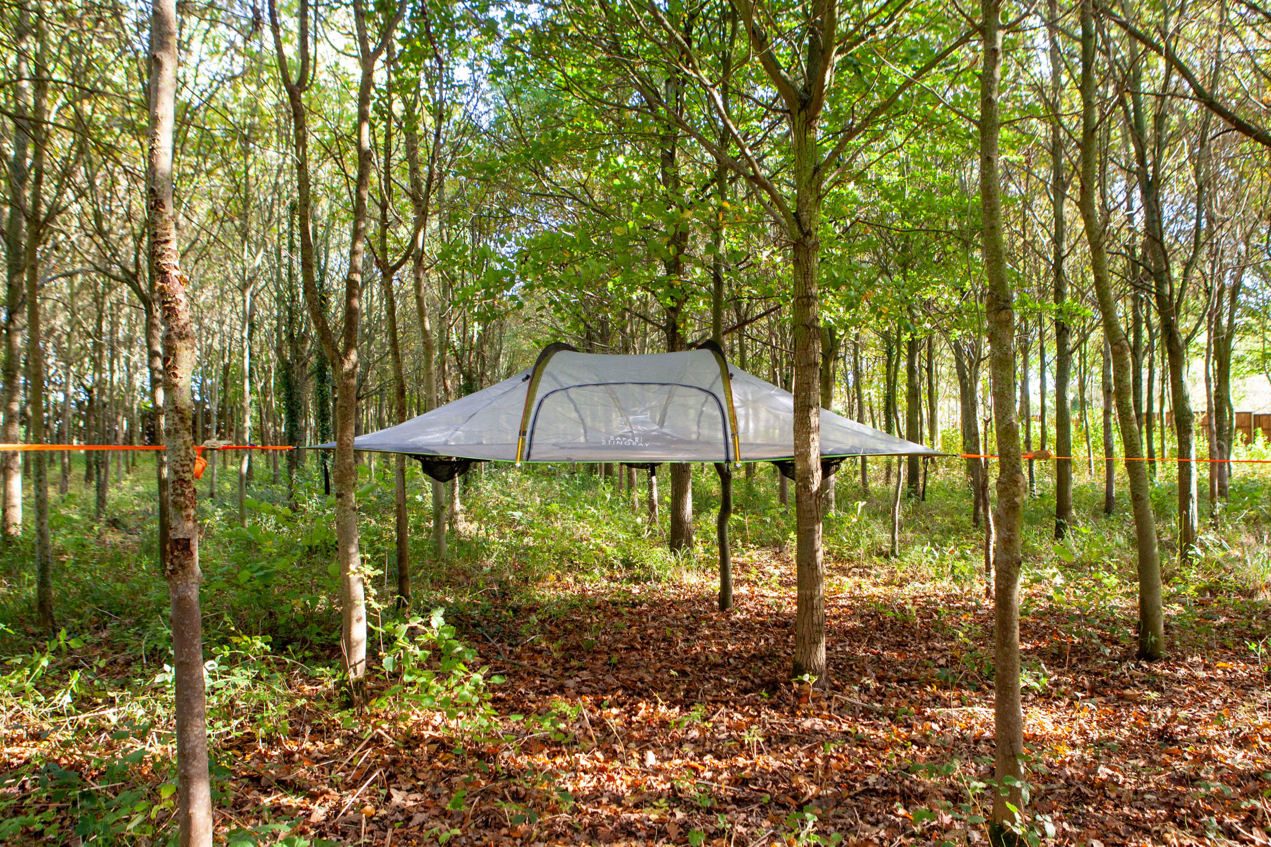 Hébergement insolite Tente suspendue forêt