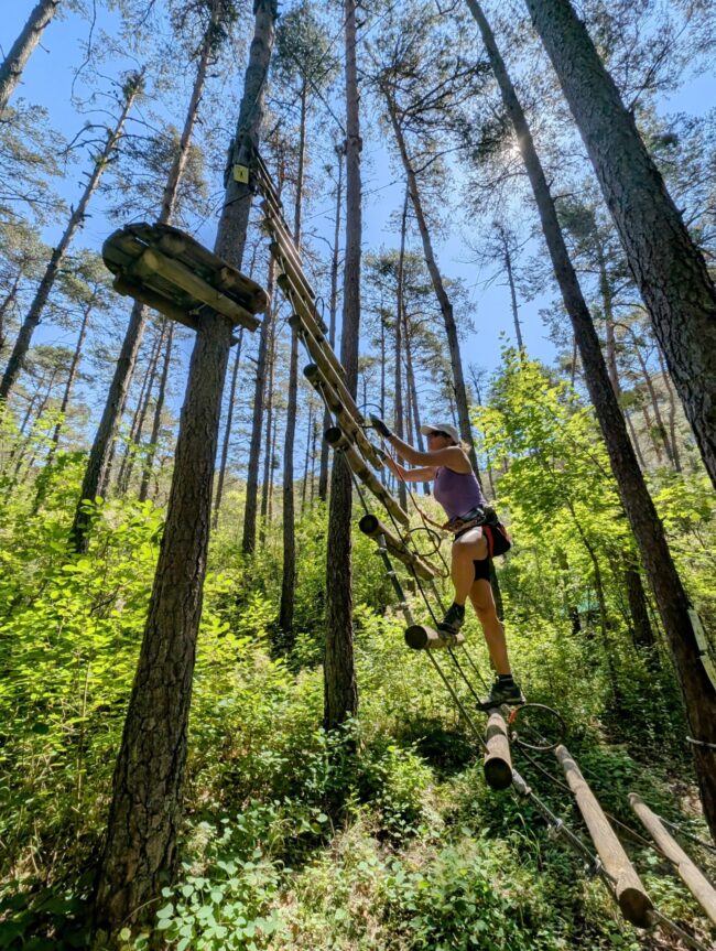 Adventure Forest Castellane Verdon